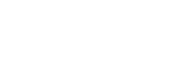 Город кукол. Алексей Столяров