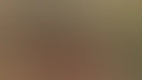 Дыши со мной. Счастье взаймы