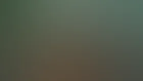 BBC. Тигр: Шпион джунглей