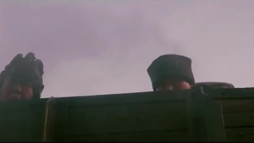 Железнодорожные тигры