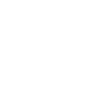 В гостях у Задорнова (Программа 2008)