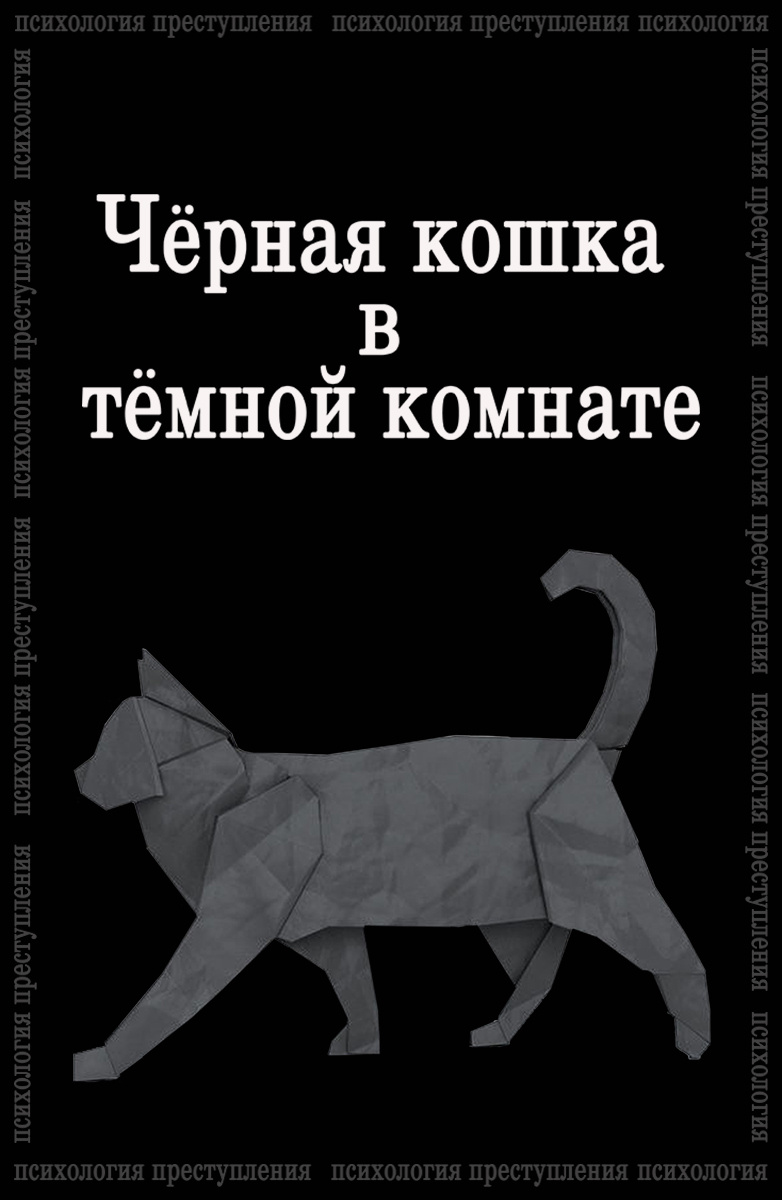 Психология преступления. Черная кошка в темной комнате постер