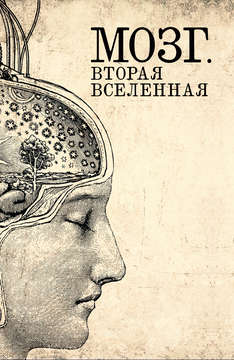 Мозг. Вторая Вселенная