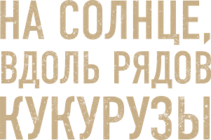 Фильм На солнце, вдоль рядов кукурузы