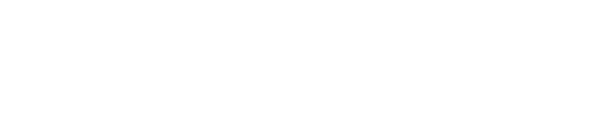Лихорадка (2004)