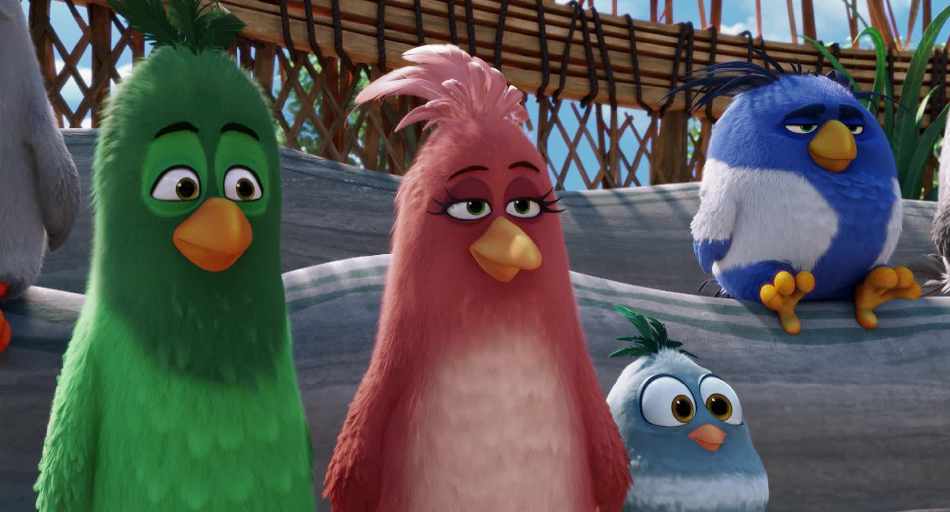 Мультфильм Angry Birds в кино (2016) описание, содержание, трейлеры и  многое другое о мультфильме