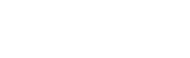 Полураспад Тимофея Березина (2006)
