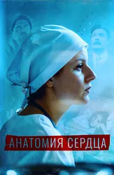 Анатомия сердца