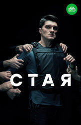 Стая