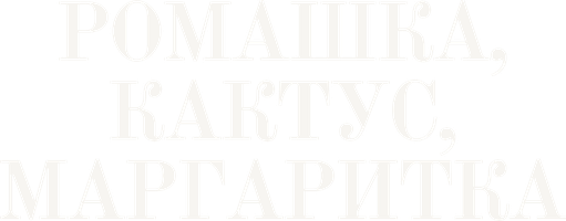 Ромашка, кактус, маргаритка (Фильм 2009)