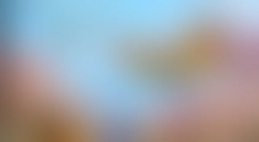 Крылатая история