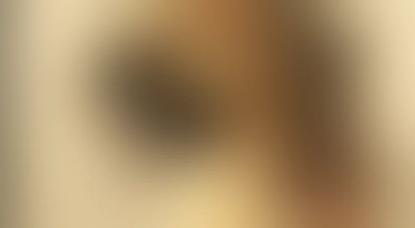 Без ошейника