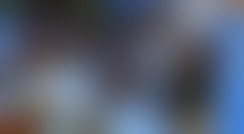 Майские звезды