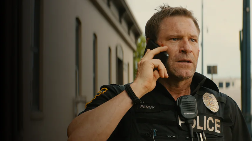 По долгу службы