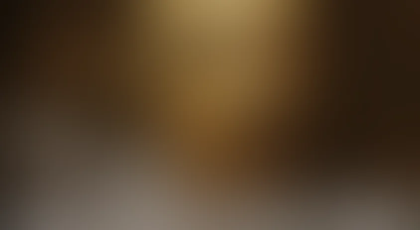 Мой сводный брат Франкенштейн