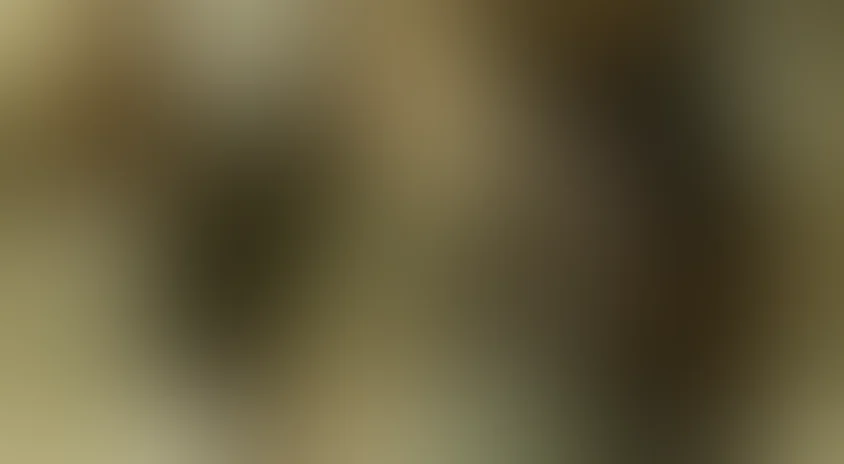 Рыцари стальной крови (Рыцари Мирабилиса)