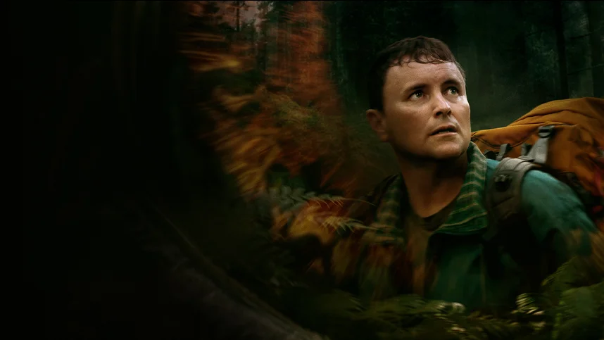 Таинственный лес