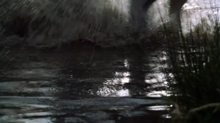 Трейлер (английский язык)