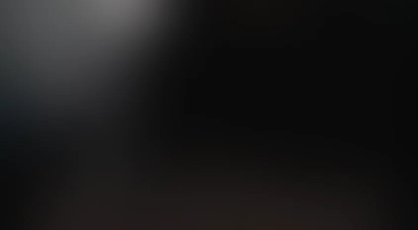 Записки экспедитора Тайной канцелярии