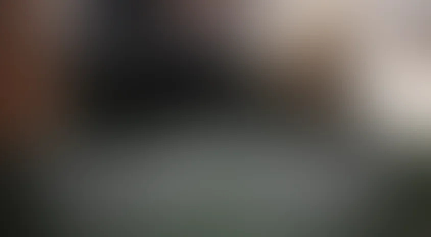 Пуля-дура. Изумрудное дело агента