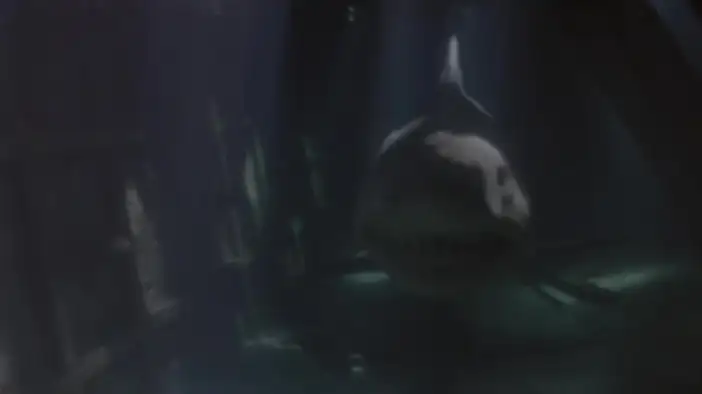 Фрагмент 2 (английский язык)