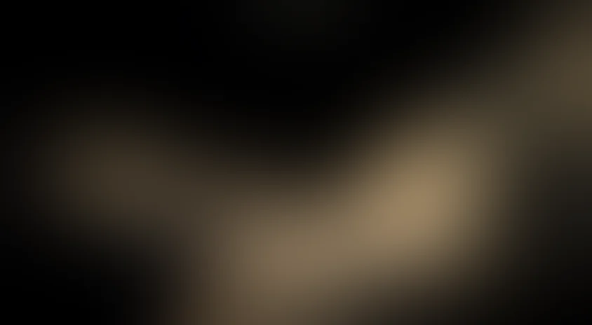 Люди и звери