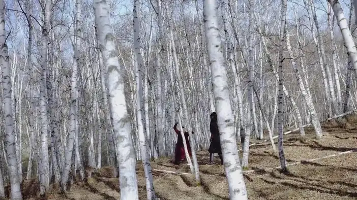 Трейлер 2 (китайский язык, англ. субтитры)