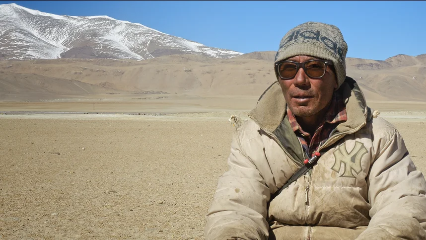 Возвращение исчезнувших