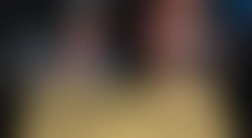 [4k] Последний Вермеер