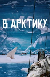 В Арктику
