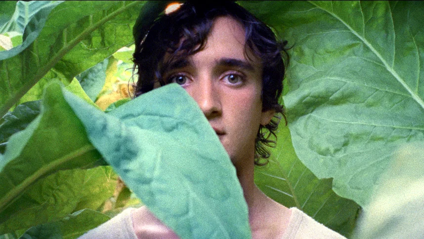 Счастливый Лазарь