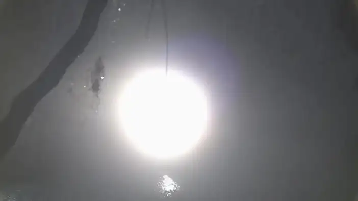 Трейлер (русский язык)