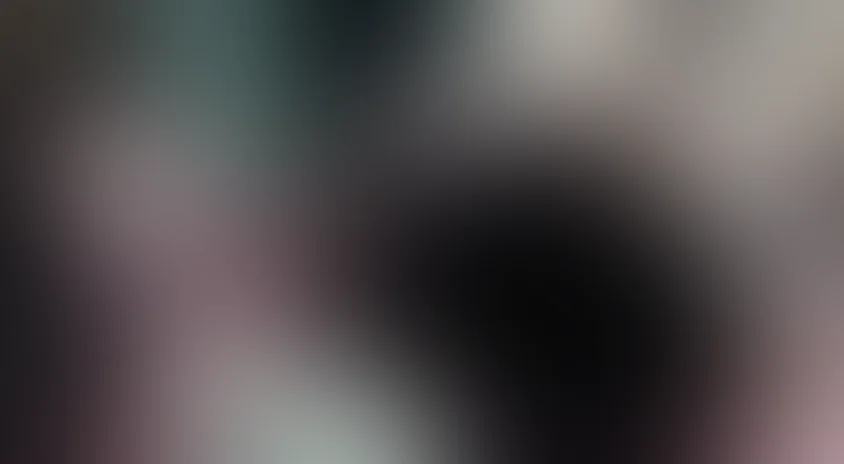 Путешествие с домашними животными