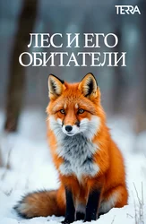 Лес и его обитатели