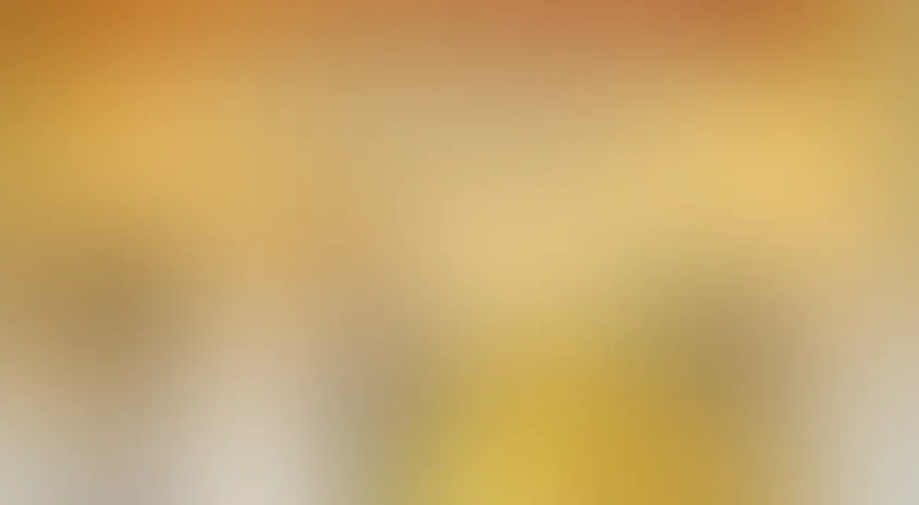 Искатели сокровищ