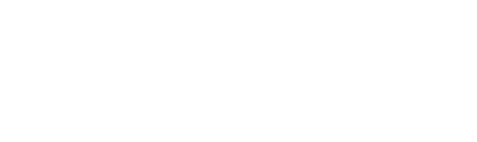 Двойной форсаж (Фильм 2003)