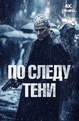 По следу тени