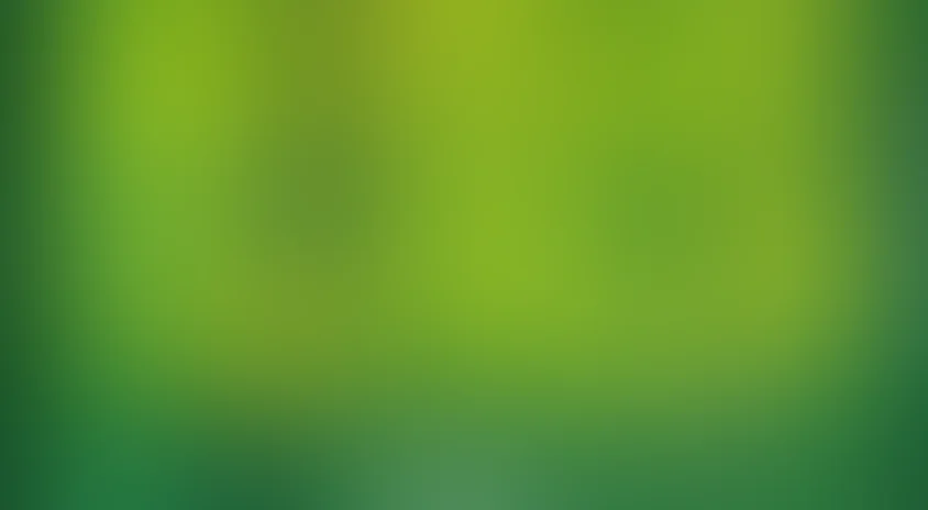 По дороге в страну счастья