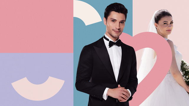 Любовь. Разум. Месть