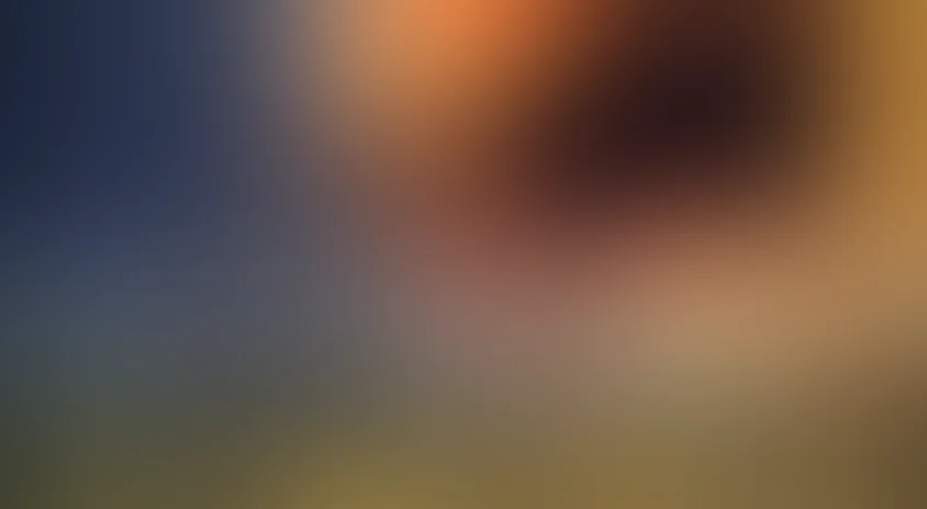 Вино из одуванчиков