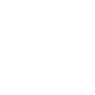 BRIDGE DELUXE
