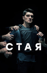 Стая