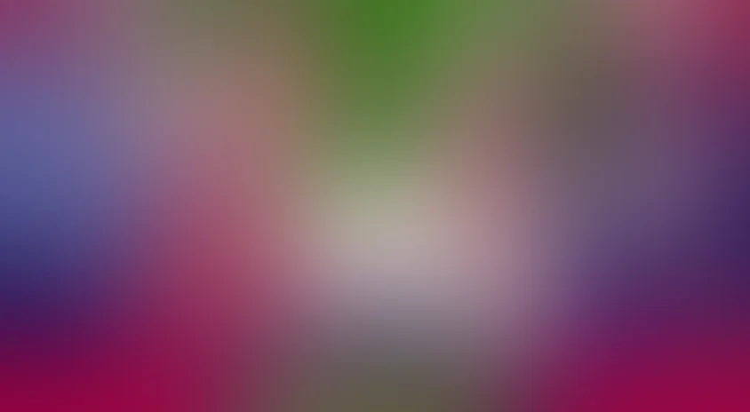 Новый старый дом