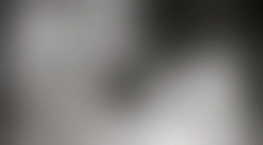 Мэтр - детектив