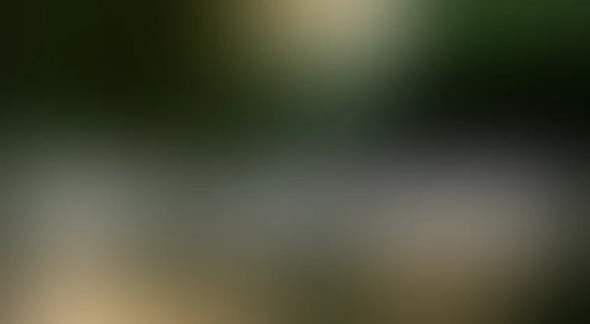 Живи и дай умереть