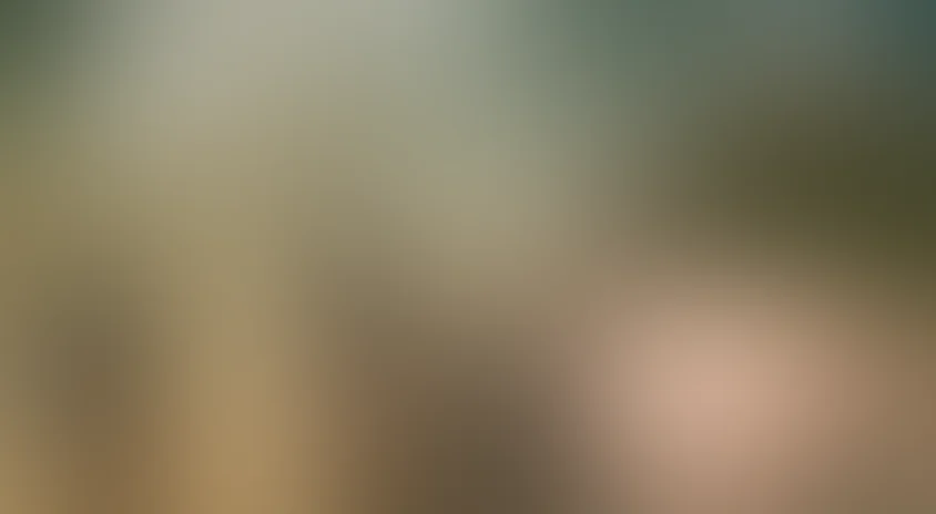 Благие намерения