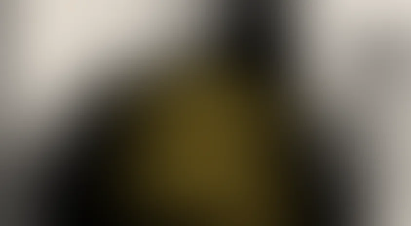 Как поссорились Иван Иванович с Иваном Никифоровичем