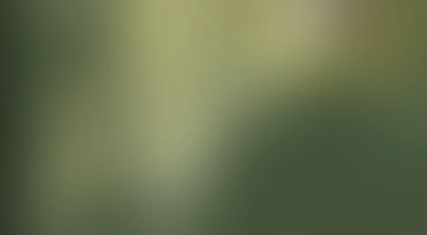 Вас ожидает гражданка Никанорова