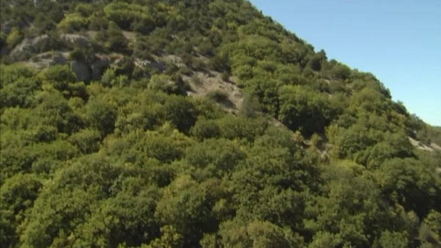 Jinsiy aloqa uchun mexanik dildolar