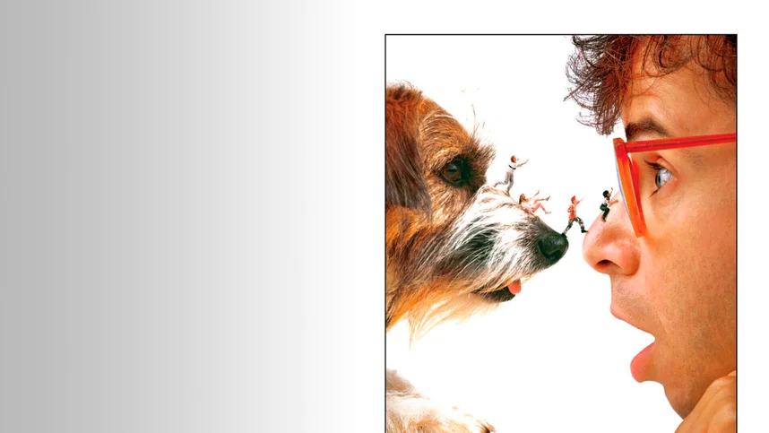 Дорогая, я уменьшил детей